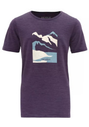 Dětské tričko Devold Molnes Merino Tee Jr Lilac