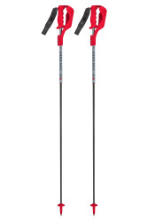 Kije zjazdowe Van Deer Race SL Carbon