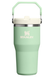 Stanley The Iceflow™ Flip Straw 2.0 Tumbler 600 Ml/20oz Pistachio