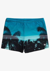 Męski strój kąpielowy Quiksilver EQYS503031-BPJ6 Everyday Swimmer