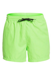 Quiksilver EQYJV03531-GGY0 EVERYDAY VOLLEY 15