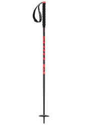 Kije narciarskie dla dzieci SCOTT RIOT JR SKI POLE