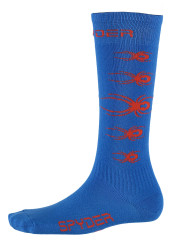 Kids socks SPYDER 17-726946 BUG OUT SOCK 434