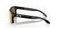 podgląd Okulary przeciwsłoneczne Oakley 9102-O355 Holbrook MotoGP MtBlkTort w/ PRIZM 24K Polarized