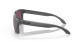 podgląd Oakley 9102-B555 Holbrook Steel w/ PRIZM Daily Polar