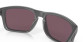 podgląd Oakley 9102-B555 Holbrook Steel w/ PRIZM Daily Polar