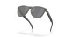podgląd Okulary przeciwsłoneczne Oakley 9013-M055 Frogskins Matte Grey Ink Fingerprint