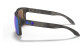 podgląd Okulary przeciwsłoneczne Oakley 9102-G755 Holbrook Mtt Blk Tort w/ PRIZM Sapph Pol