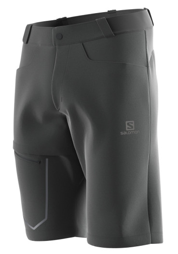 szczegóły Salomon WAYFARER SHORTS M BLACK