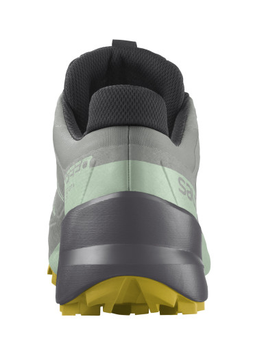 szczegóły Salomon Speedcross 5 Gtx W Wrought Iron/Spr