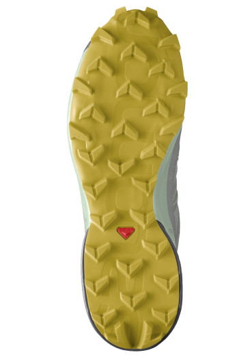 szczegóły Salomon Speedcross 5 Gtx W Wrought Iron/Spr