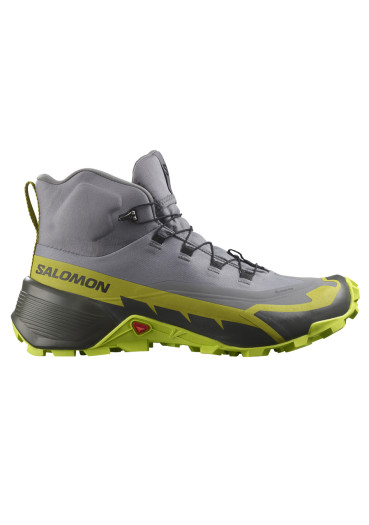 szczegóły Salomon CROSS HIKE MID GTX 2 QuSh/Lime/Gold