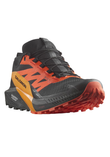 szczegóły Męskie buty do biegania Salomon Sense Ride 5 GTX – Black/Scarlet Ibis