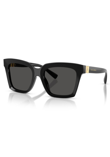 szczegóły Dolce & Gabbana 0DG4498 501/8755 Black-Dark Grey