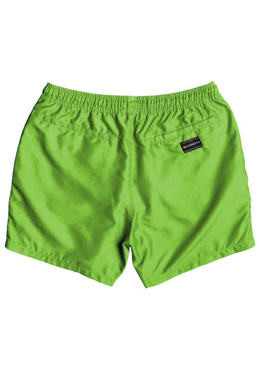 szczegóły Szorty dziecięce Quiksilver EQBJV03141 Everyday Volley Youth green