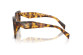 podgląd Okulary przeciwsłoneczne Prada PR 19ZS 14L06B55 Honey Tortoise/Dark Brown