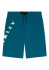 szczegóły Szorty męskie Oakley Cut Logo Boardshort 20
