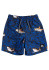 szczegóły Spodenki dziecięce Quiksilver EQKJV03156-KSH6 Sharky 12 