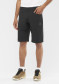 podgląd Salomon WAYFARER SHORTS M BLACK