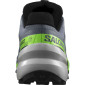 podgląd Salomon Speedcross 6 Gtx Flint/Grgeck/Black