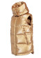 podgląd Goldbergh Flash Bodywarmer gold