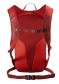 podgląd Plecak Salomon Trailblazer 10 Red Dahlia/High Risk Red