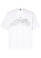 podgląd Oakley Wired Mtn Scape Tee White 100