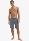 podgląd Quiksilver EQYHY03877-KRPH Union Heather Amph 19