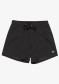 podgląd Spodenki męskie Quiksilver EQYJV04120-KVJ0 Everyday Solid Volley 15