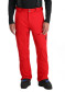 podgląd Spodnie męskie Spyder 38SA125316-SPR Dare Pants Lengths, Spyder Red
