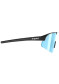 podgląd Okulary przeciwsłoneczne TRIPOINT-005 LAKE VICTORIA Matt Black Smoke z Blue Multi Cat.3