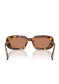 podgląd Miu Miu MU B13S 14L90Q52 Havana, Honey/Brown Sunglasses