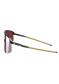 podgląd Julbo Density Black Translu Brillant/Brown