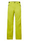 podgląd Męskie spodnie snowboardowe Oakley Crescent 2.0 Shell 2l 10k Pant Sulphur