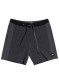 podgląd Quiksilver EQYBS04344-KVJ0 ARCH BEACHSHORT 18