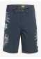podgląd Męskie szorty Quiksilver EQYBS04539-KVJ6 Surfsilk Paradise Express 19'