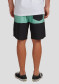 podgląd Męskie szorty Quiksilver EQYBS04566-GEA6 Boardshorts for Men