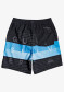 podgląd Strój kąpielowy dla chłopców QUIKSILVER EQBJV03267-KVJ6 WORLD BLOCK 15