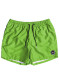 podgląd Szorty dziecięce Quiksilver EQBJV03141 Everyday Volley Youth green
