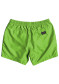 podgląd Szorty dziecięce Quiksilver EQBJV03141 Everyday Volley Youth green